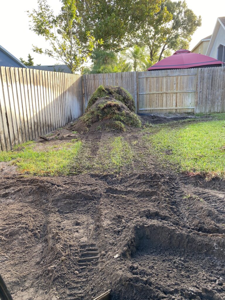 removed grass from an above ground pool in the Conway area of Orlando